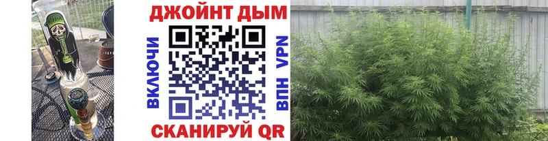 Шишки марихуана ГИДРОПОН  Светлоград 